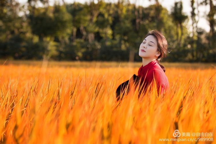 十里稻花香的全诗,十里稻花香的上一句