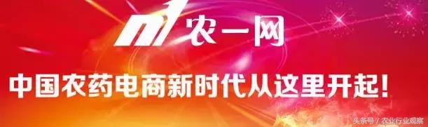 农资电商转型之路已开始，农一网竟然这样玩！