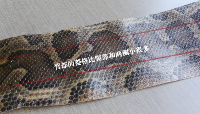 二胡琴皮怎么算几格,琴皮有怪鳞的二胡质量有问题吗