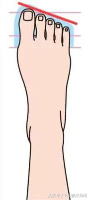 脚趾的长相说法,通过脚趾的形状看祖上的血统