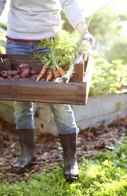 回归田园梦想中的生活,回归田园过上简单生活