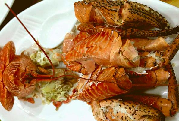 帕劳旅行全攻略,帕劳旅行攻略最佳方案