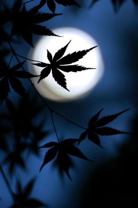 余生要和爱的人在一起文本,余生要和爱的人在一起图片