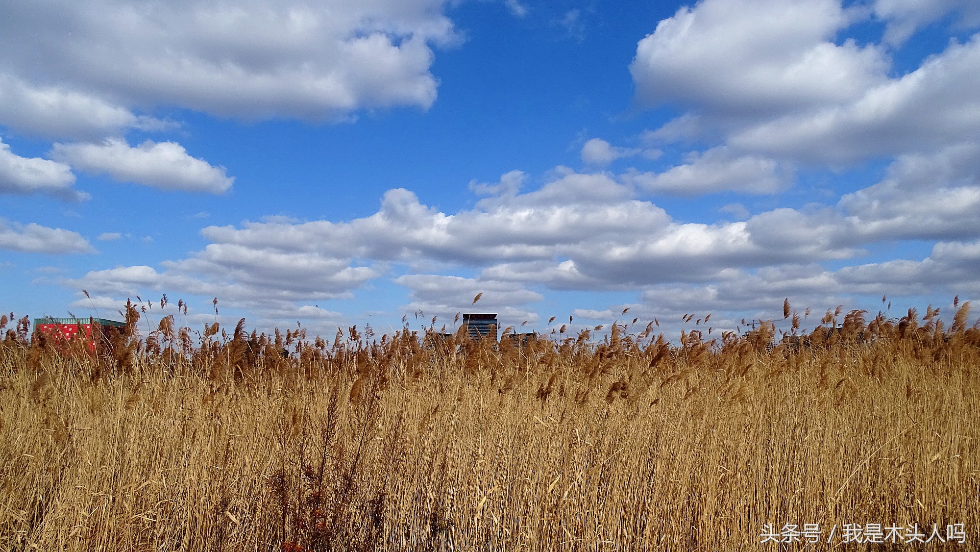 沈阳浑南创新天地,沈阳创新天地图片