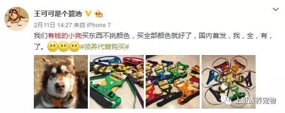 王思聪名媛女友,coco王思聪在一起过吗