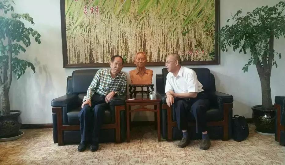 中医把脉你信吗,中医农业