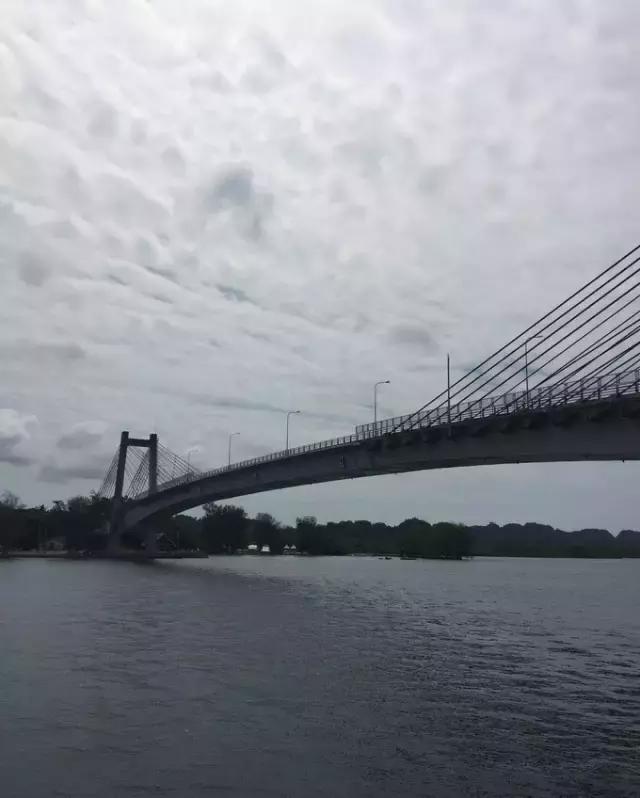 帕劳归来不看海视频,帕劳归来不看海