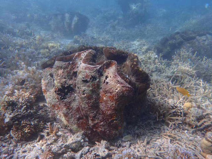 帕劳旅行全攻略,帕劳旅行攻略最佳方案