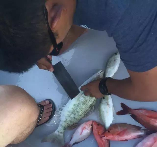 帕劳归来不看海视频,帕劳归来不看海