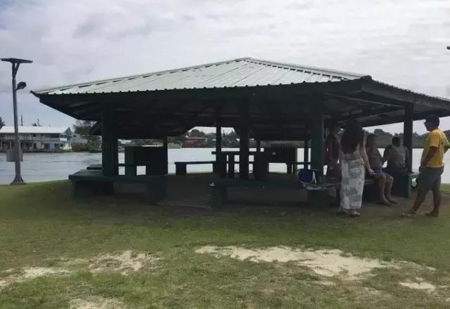 帕劳归来不看海视频,帕劳归来不看海