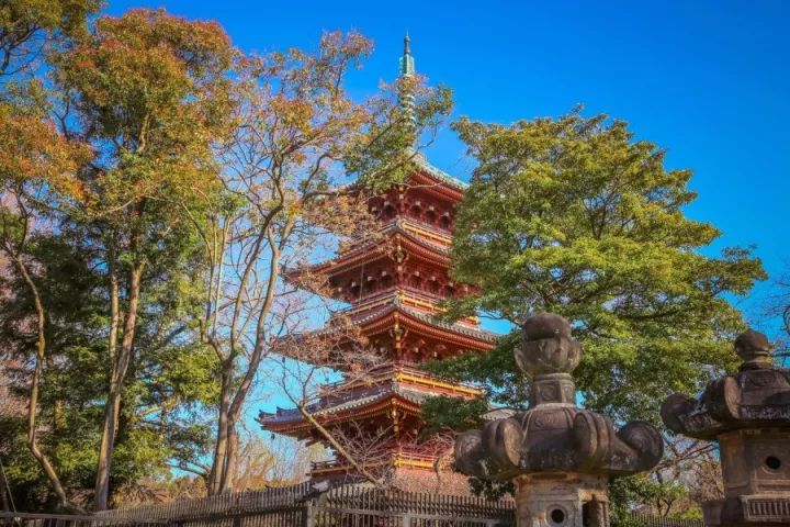 元旦｜做一个现代白领在「日本新年」来临前的谜之淡定