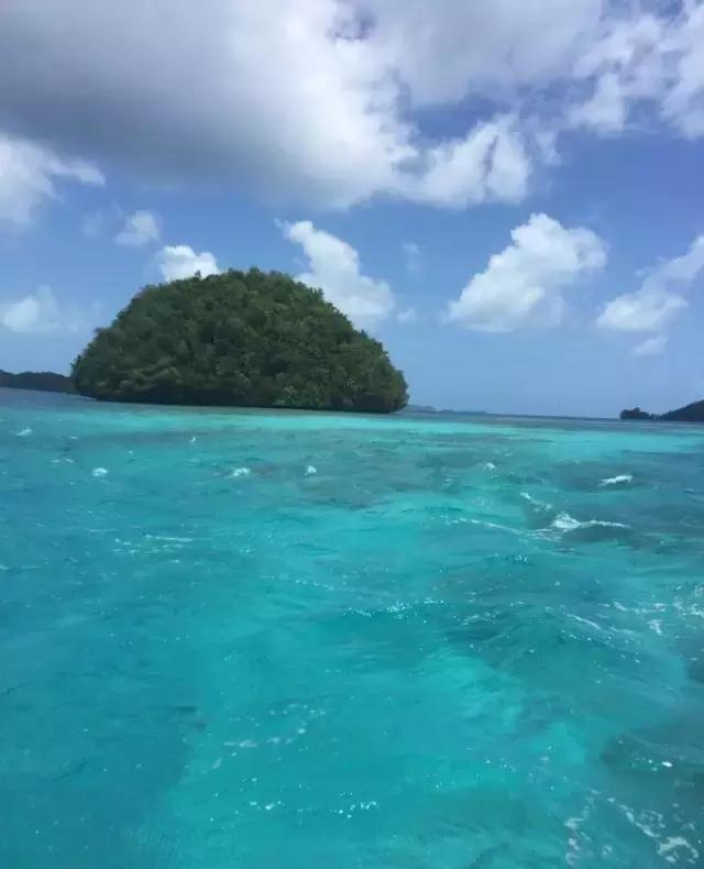 帕劳归来不看海视频,帕劳归来不看海