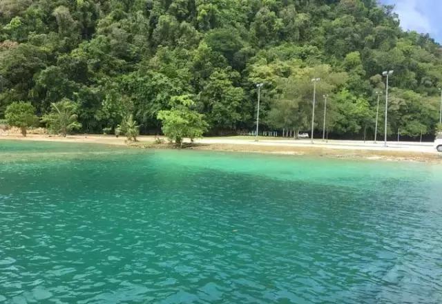 帕劳归来不看海视频,帕劳归来不看海