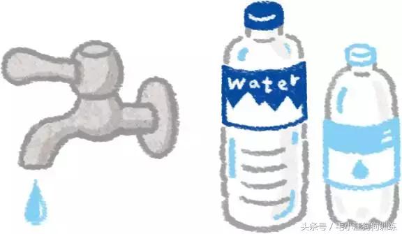 毛小汪训犬课堂,狗狗泪痕重是什么原因引起的