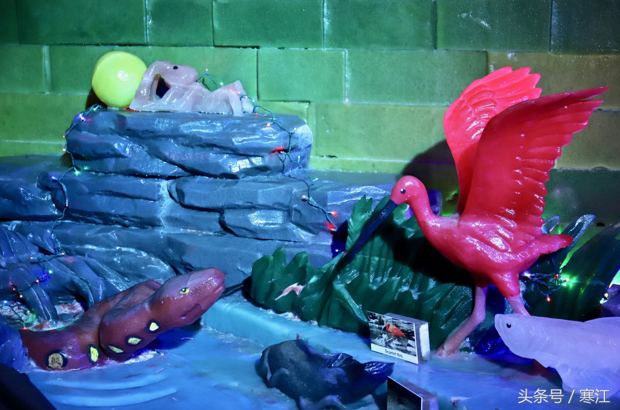 哈尔滨冰雪大世界冰灯有多漂亮,哈尔滨太阳岛室内冰灯艺术馆门票