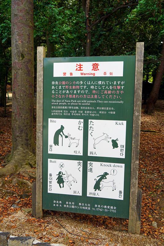 日本关西夏日赏——今夕传媒旅行家出品