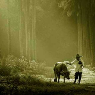 许三观卖血记名著分享,许三观卖血记主要参考资料