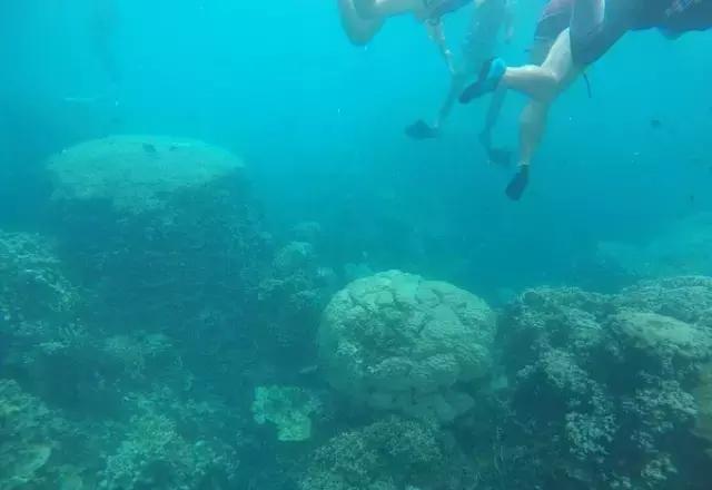 帕劳归来不看海视频,帕劳归来不看海