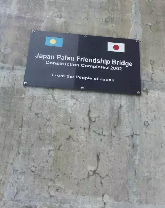 帕劳归来不看海视频,帕劳归来不看海