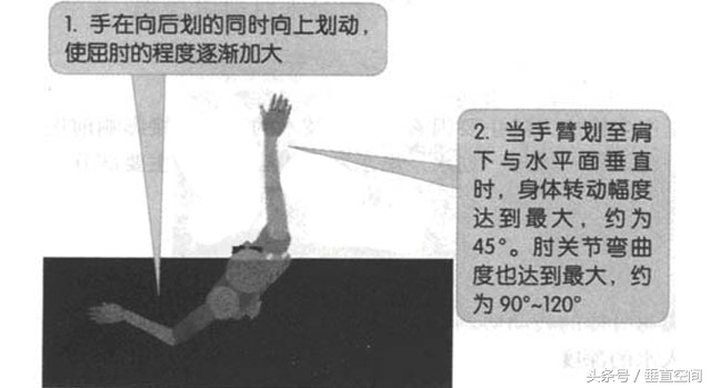 仰泳的正确泳姿教学视频,仰泳的正确泳姿完全慢动作