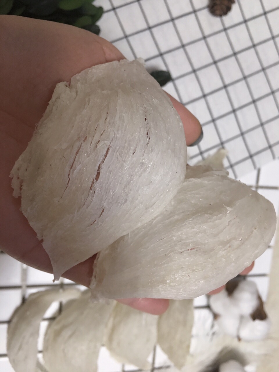 燕窝小白饮白番茄烟酰胺,燕窝小白饮