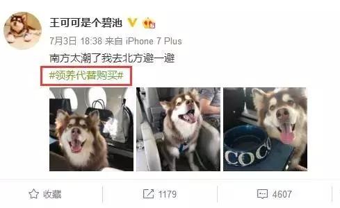 王思聪名媛女友,coco王思聪在一起过吗