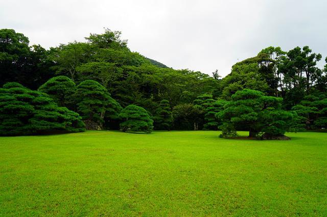 日本关西夏日赏——今夕传媒旅行家出品