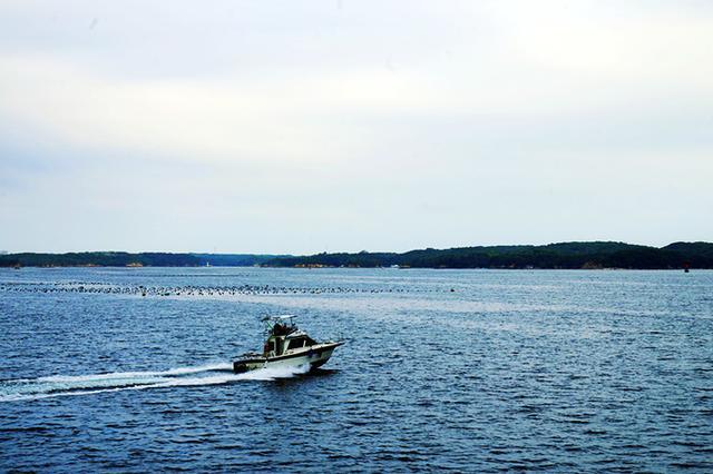 日本关西夏日赏——今夕传媒旅行家出品