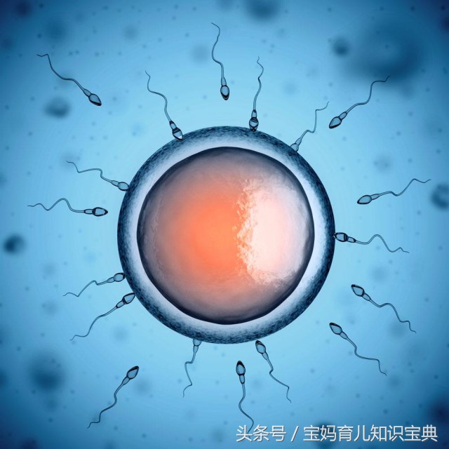 当受精卵告捷着床时会有以下这几种感觉，备孕妈妈一定要多注意