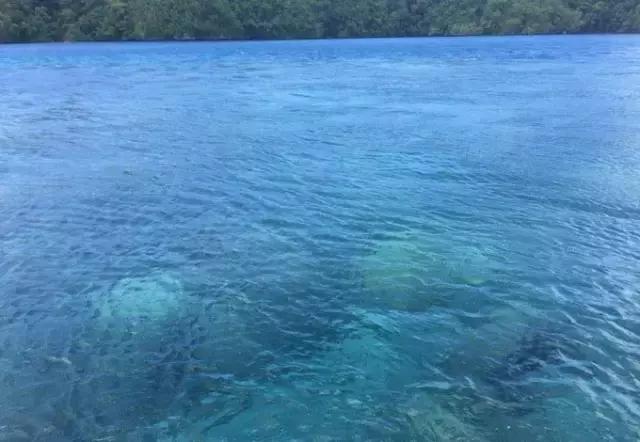 帕劳归来不看海视频,帕劳归来不看海