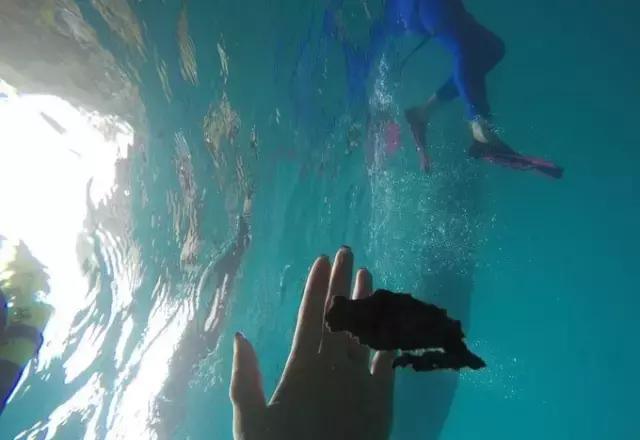 帕劳归来不看海视频,帕劳归来不看海