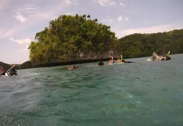 帕劳归来不看海视频,帕劳归来不看海