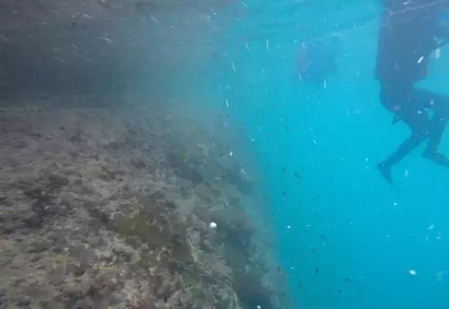 帕劳归来不看海视频,帕劳归来不看海