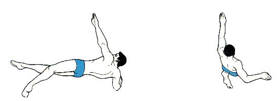 仰泳的正确泳姿教学视频,仰泳的正确泳姿完全慢动作