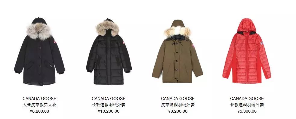 上万元的羽绒服是什么样的,上万元奢侈品羽绒服