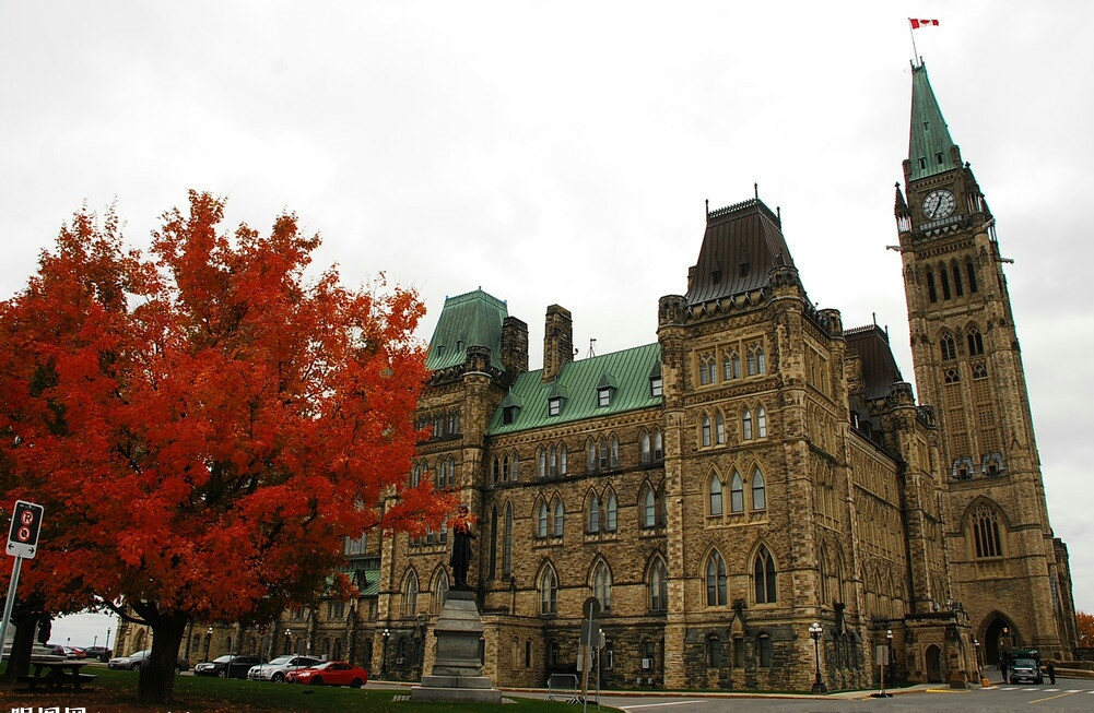 出国亲子游英语口语,海外旅游英语攻略