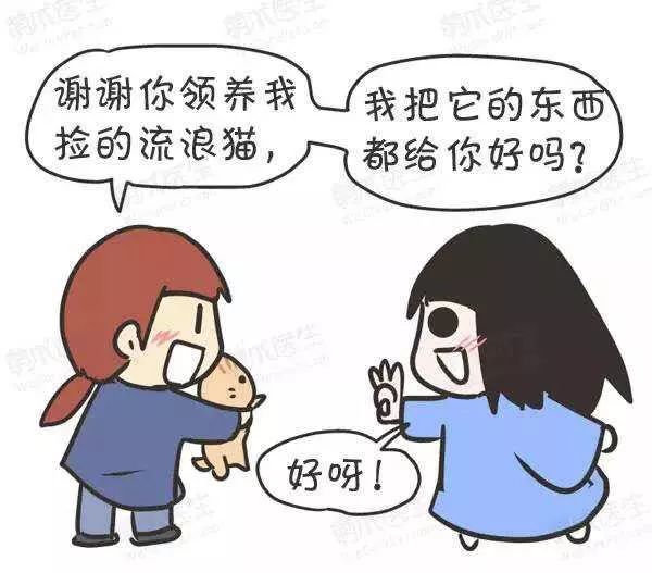 领养猫咪怎么看精神状态,领养猫咪如何知道乖不乖