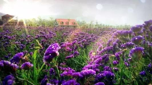 中医自汗的处方,中医汗症论治