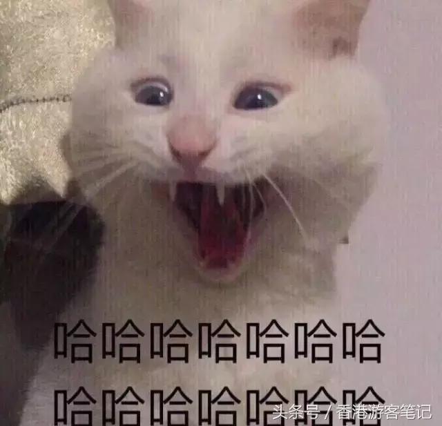 香港十大潮鞋排名榜最新,香港最潮的鞋子