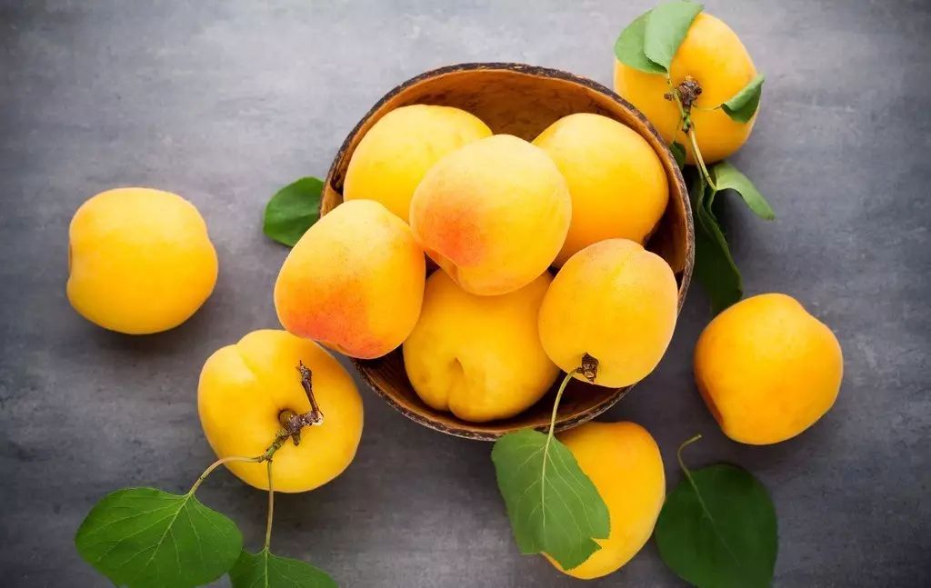 上海哪个地铁站去景点方便,上海免费景点及地铁路线