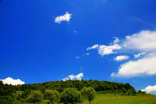 心灵美才是真的美,女性内在美才是真的美