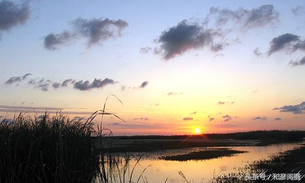 上海最新十大免费景点推荐,上海最新十大免费景点推荐一下