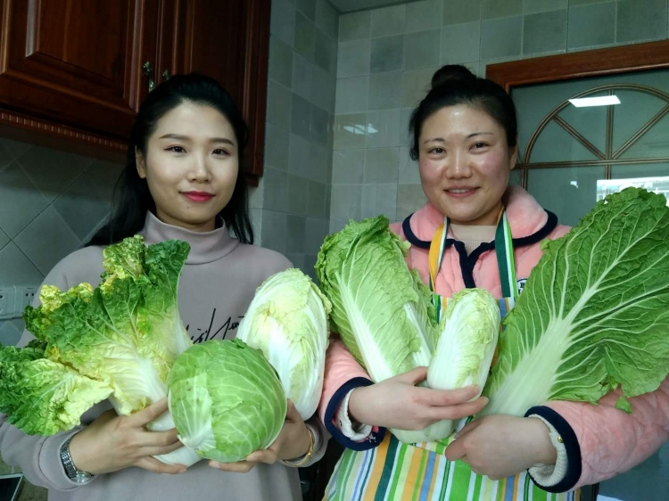 嘉兴批发市场大白菜多少钱一斤,徐州哪里有批发大白菜的