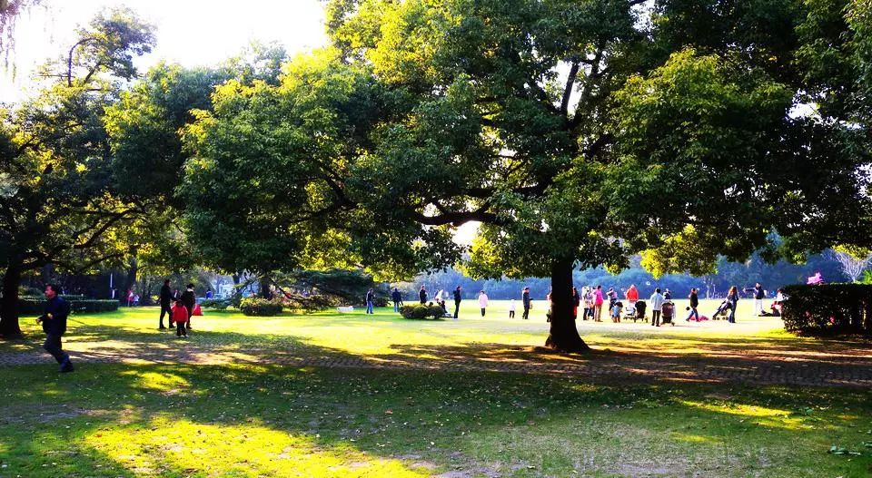 上海哪个地铁站去景点方便,上海免费景点及地铁路线