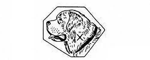 认清楚手表上的这些印记！购买金表再也不怕被奸商给坑了