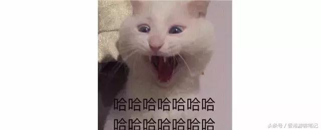 堪比大牌的国货粉底,堪比雅诗兰黛的粉底液