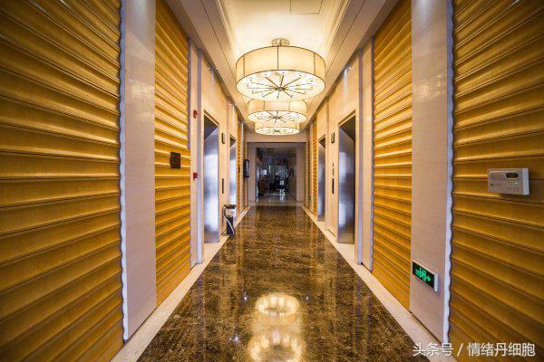 涨知识螃蟹的这几个地方不能吃,吃什么螃蟹不能吃什么