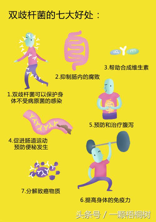 酸奶的热量多少对减肥喝有影响吗,君乐宝简醇0蔗糖酸奶能够减肥吗