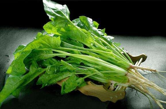 这5大食物能够预防女人的妇科病，女性朋友收藏起来吧