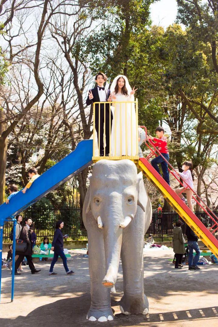 原来拍婚纱照还能够这样拍,原来婚纱照还能够这样拍